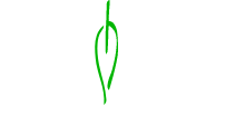 Logotipo Fundación Selva Negra